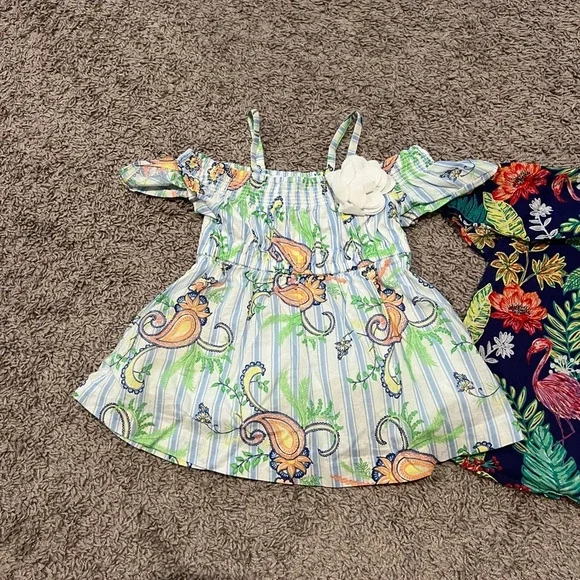 Bundle: baby girls Janie and Jack cold shoulder dresses size 12-18 months - Picture 5 of 7